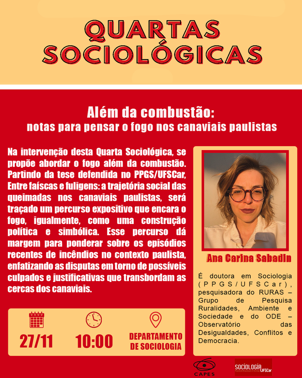 27-11-2024-ana carina sabadin.png